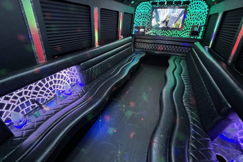 Nampa Limo Bus Interior